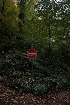 Step 2: Access Trackpad or Mouse Settings