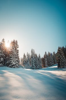 Streaming: Bandwidth and Consistent Data Flow