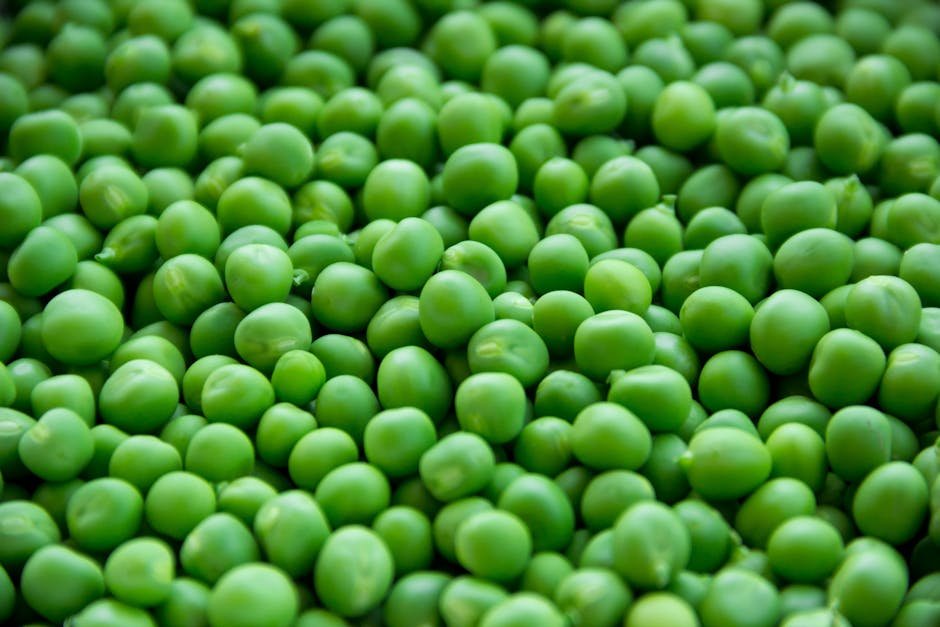 Seed