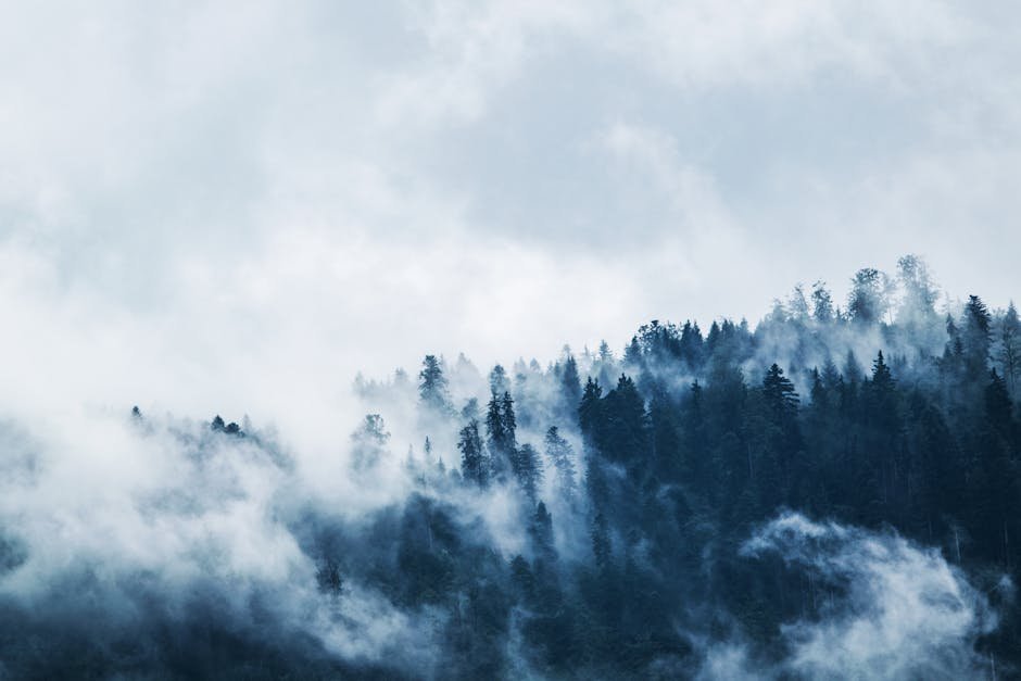 Wilderness